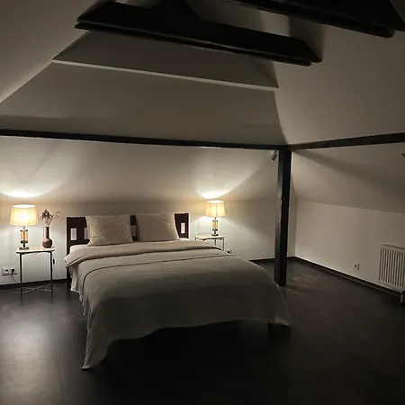 Ando With Wood Stove Sauna Holiday home Selgas